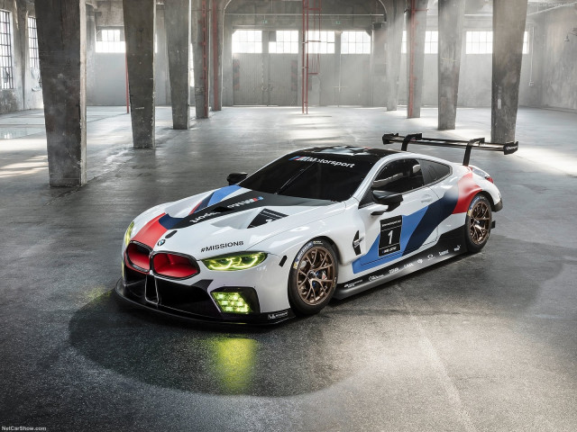 BMW M8 GTE Racecar фото