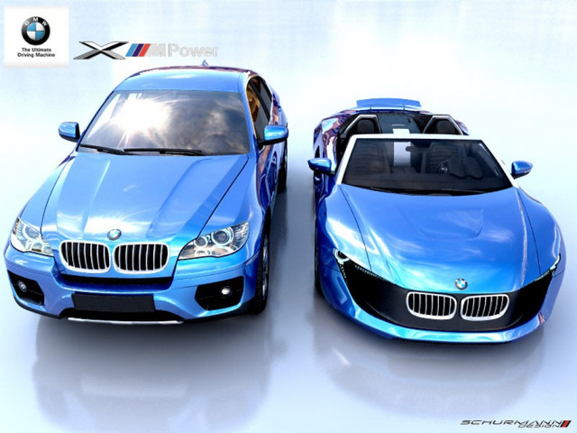 BMW X Roadster фото