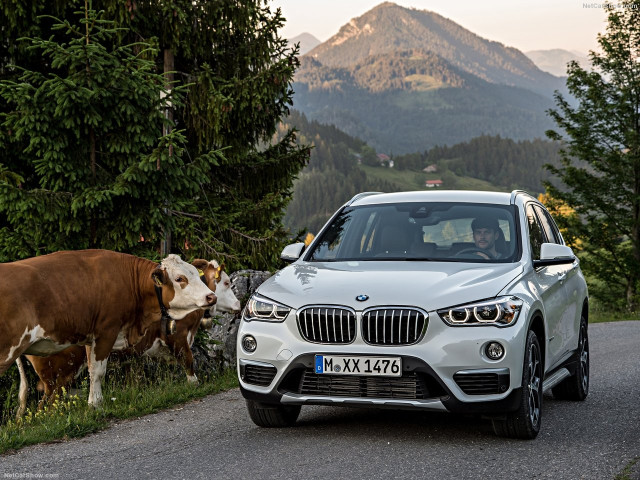 BMW X1 фото