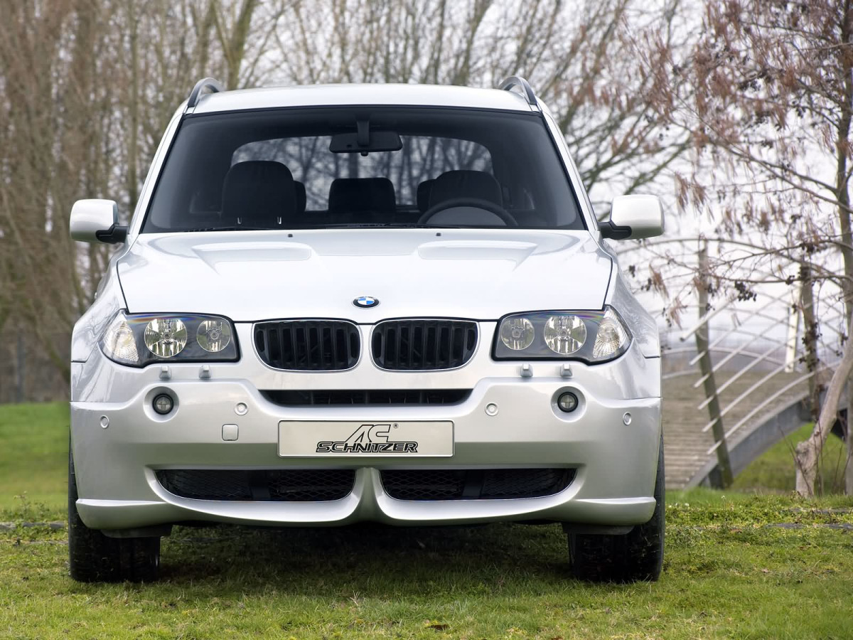 BMW X3 E83 фото 10522