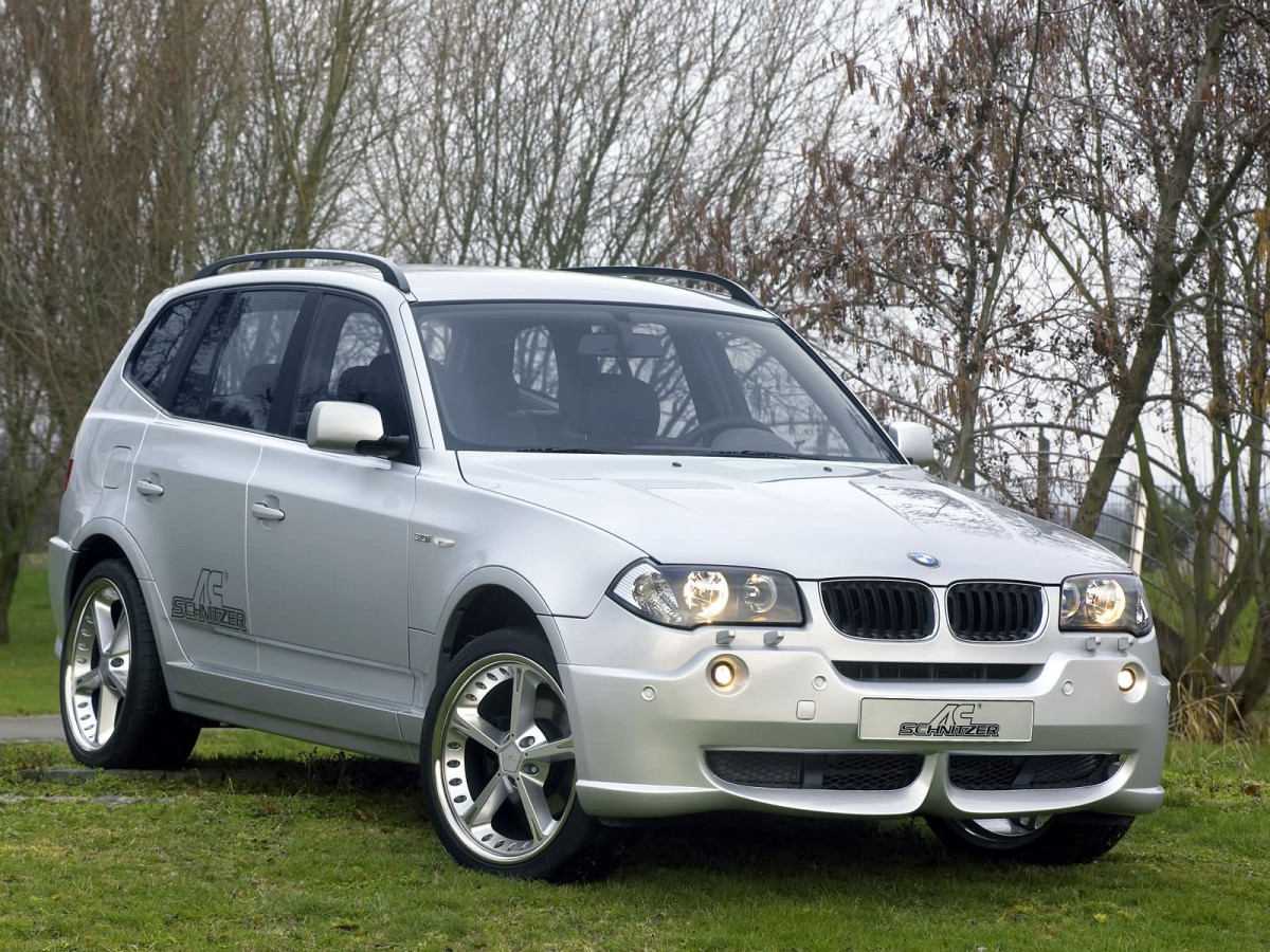 BMW X3 E83 фото 10524