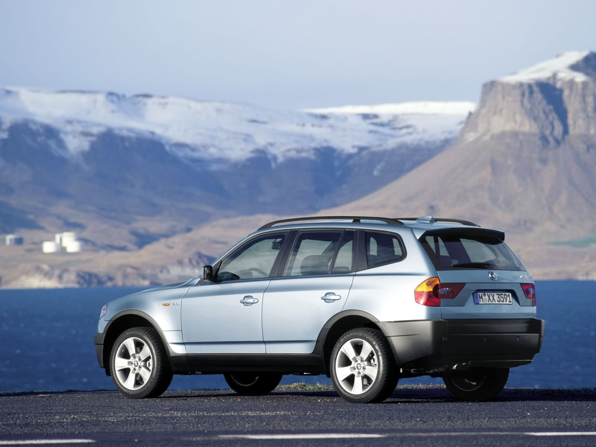 BMW X3 E83 фото 2543