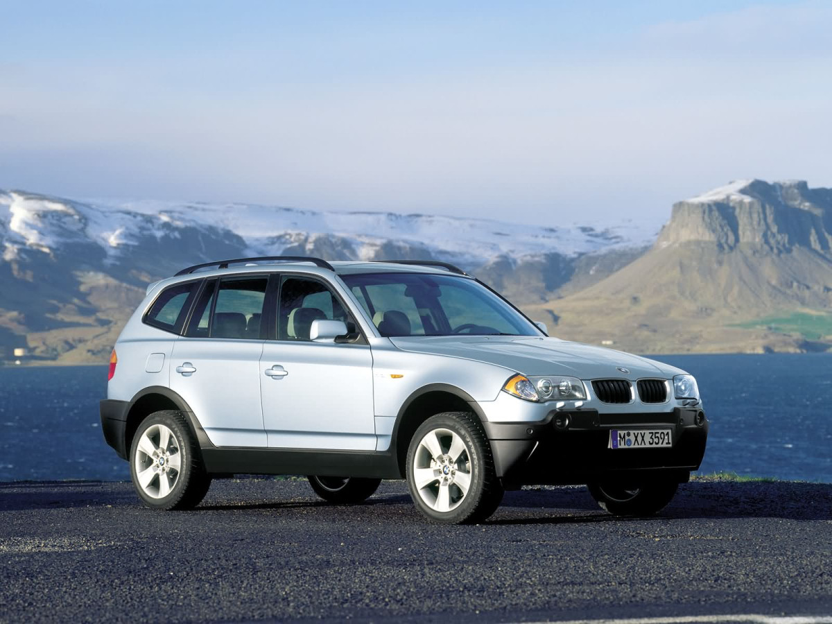 BMW X3 E83 фото 2544