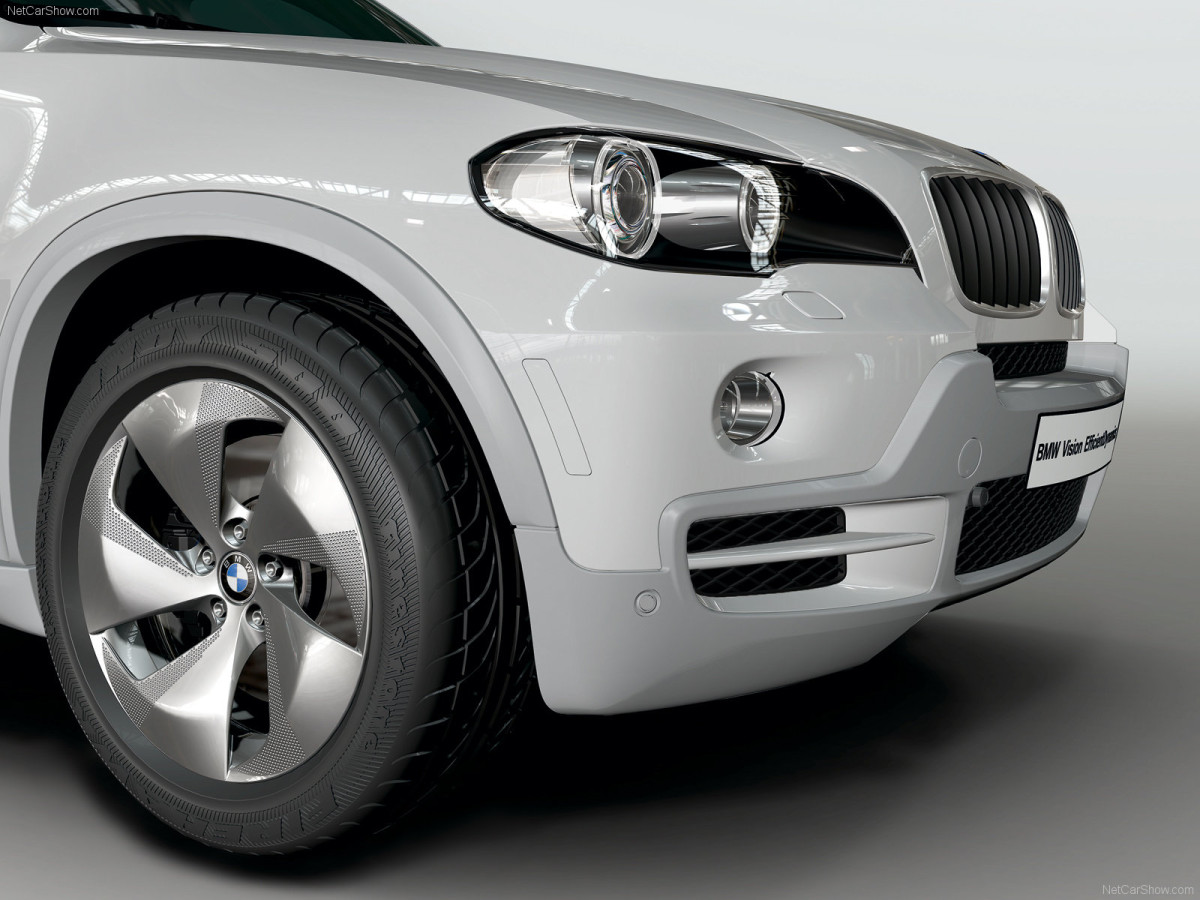 BMW X5 ActiveHybrid фото 52984