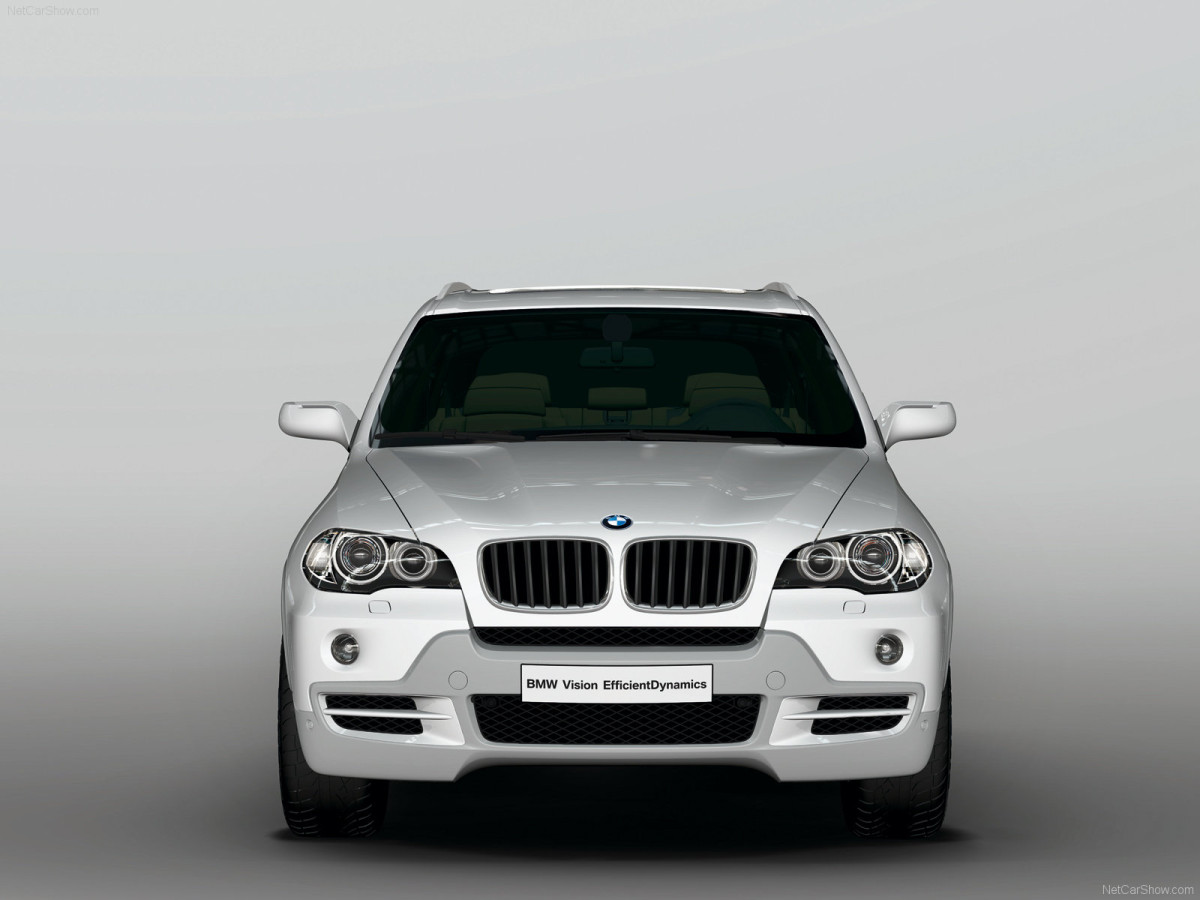 BMW X5 ActiveHybrid фото 52986