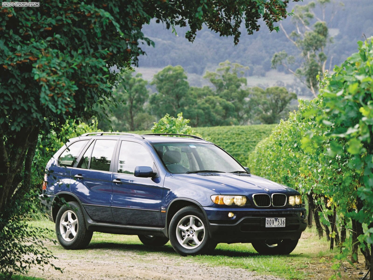 BMW X5 E53 фото 63322