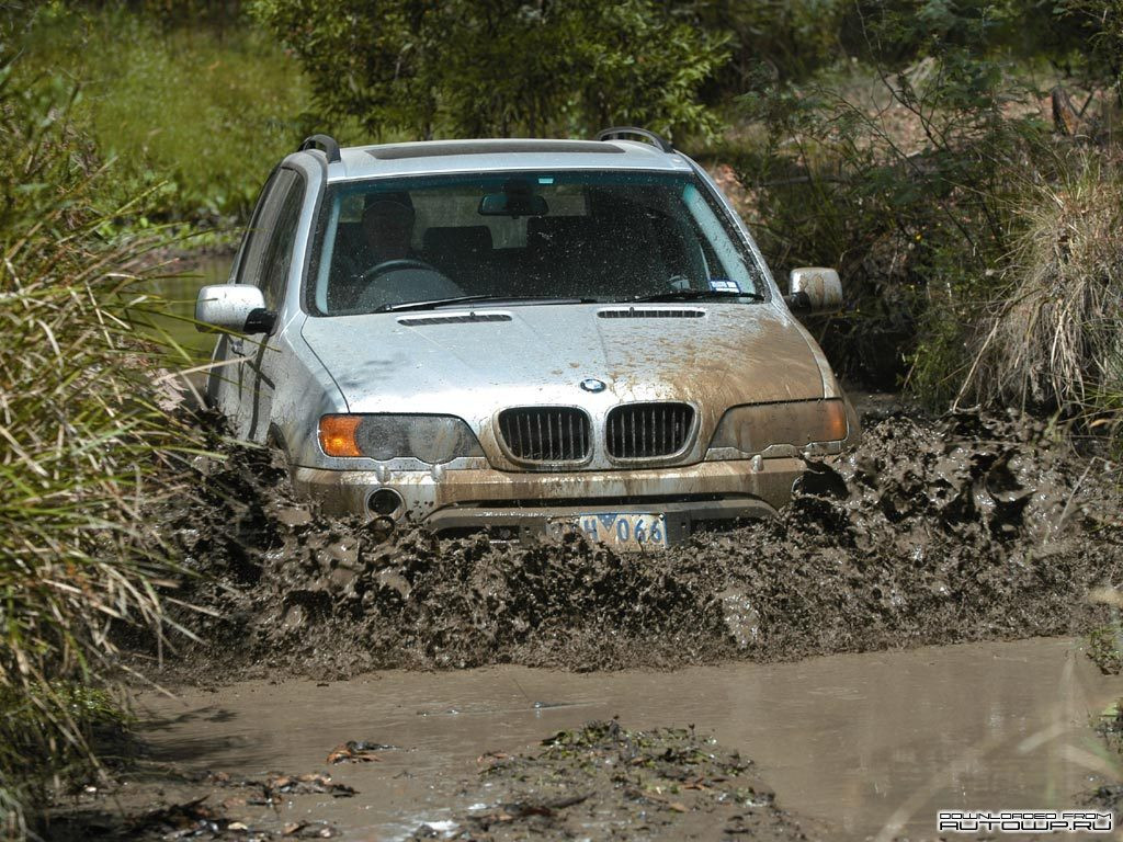 BMW X5 E53 фото 63360