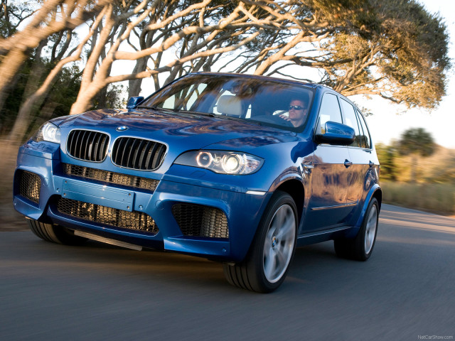 BMW X5 E70 фото