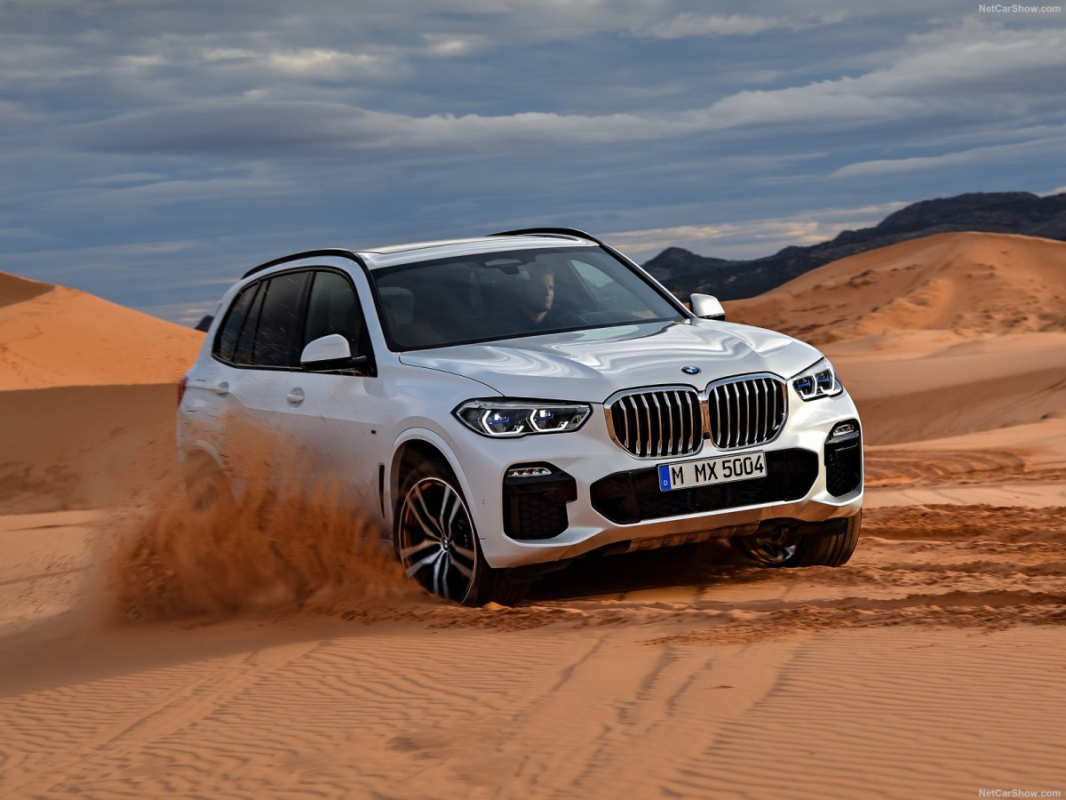 BMW X5 фото 195729