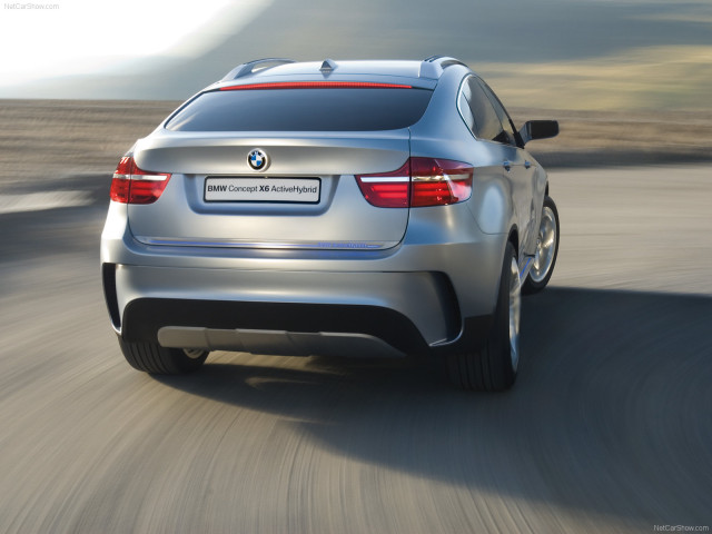 BMW X6 ActiveHybrid фото