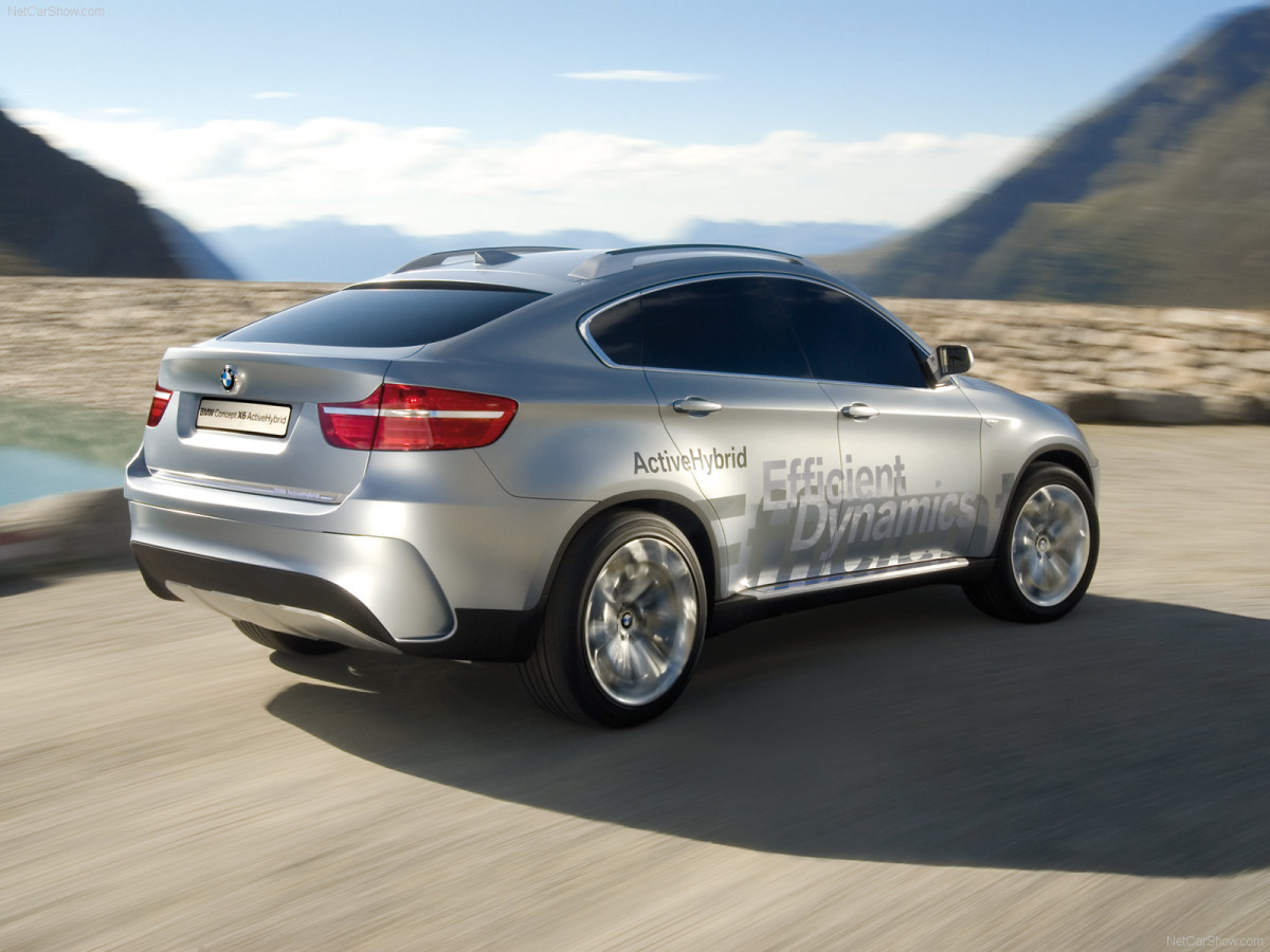 BMW X6 ActiveHybrid фото 47315