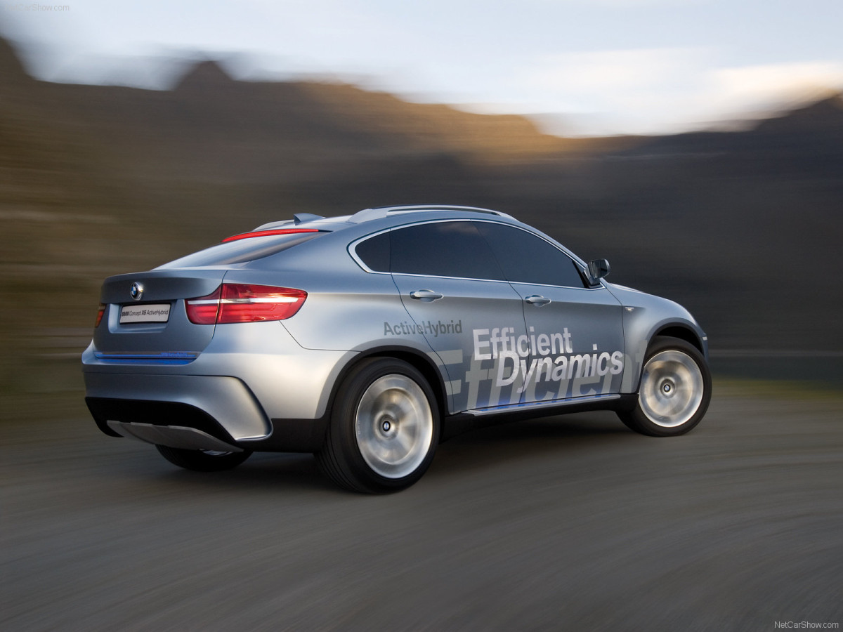 BMW X6 ActiveHybrid фото 47316