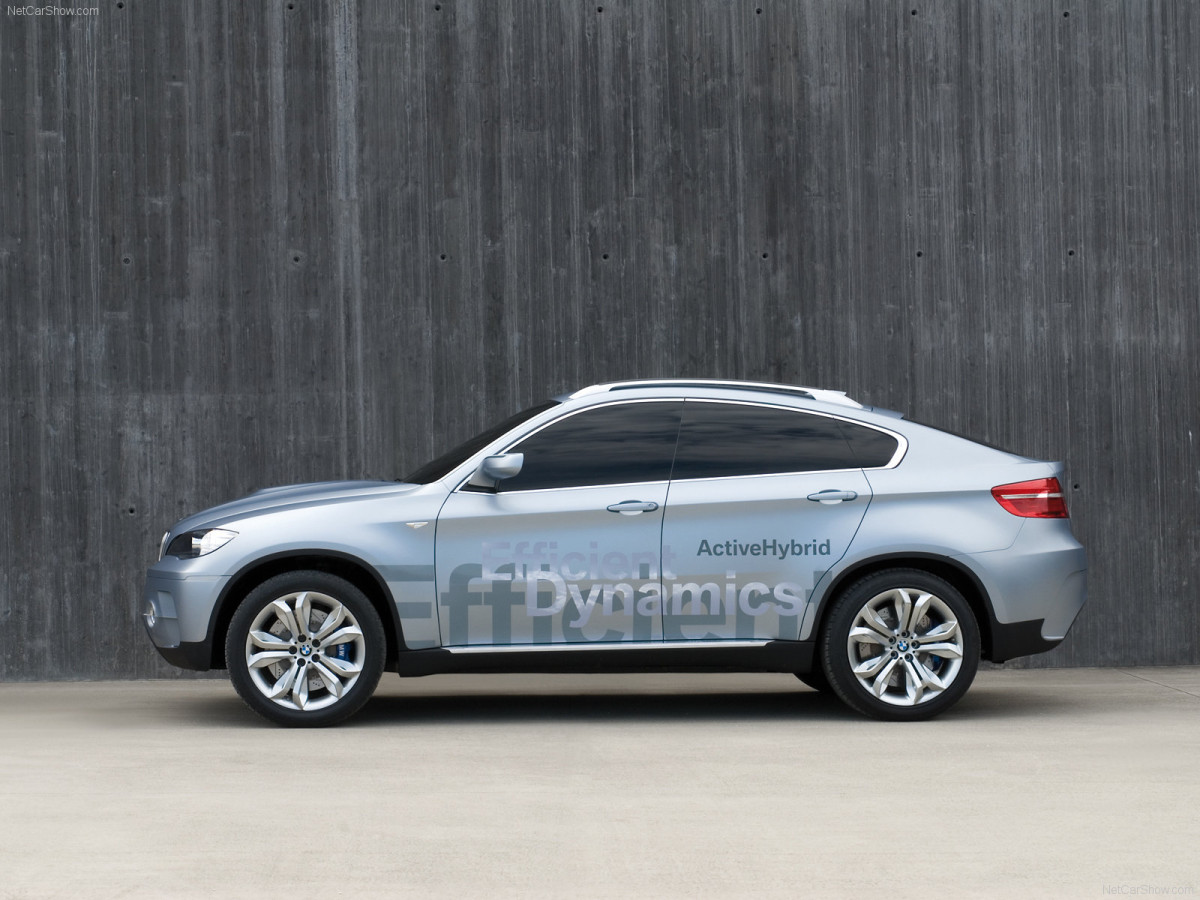 BMW X6 ActiveHybrid фото 47318