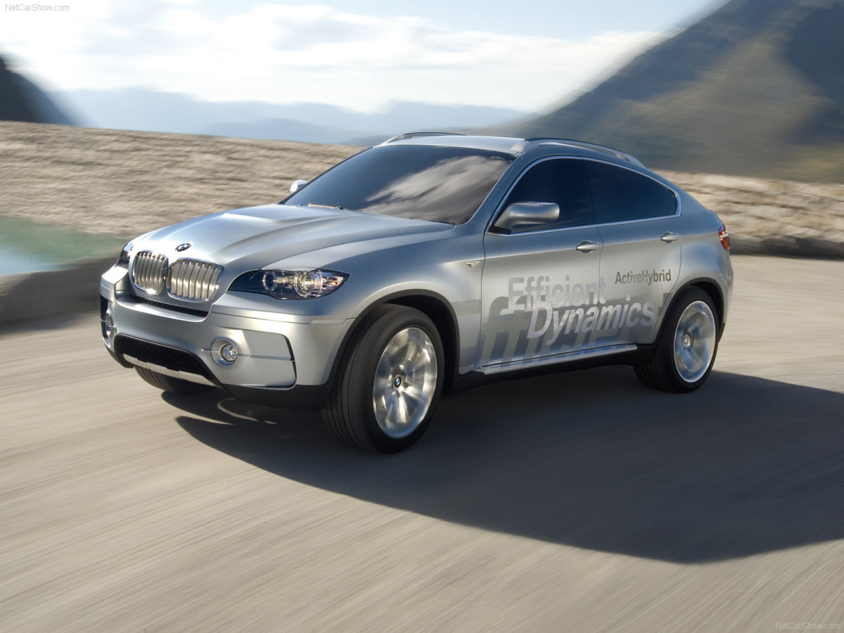 BMW X6 ActiveHybrid фото 47322