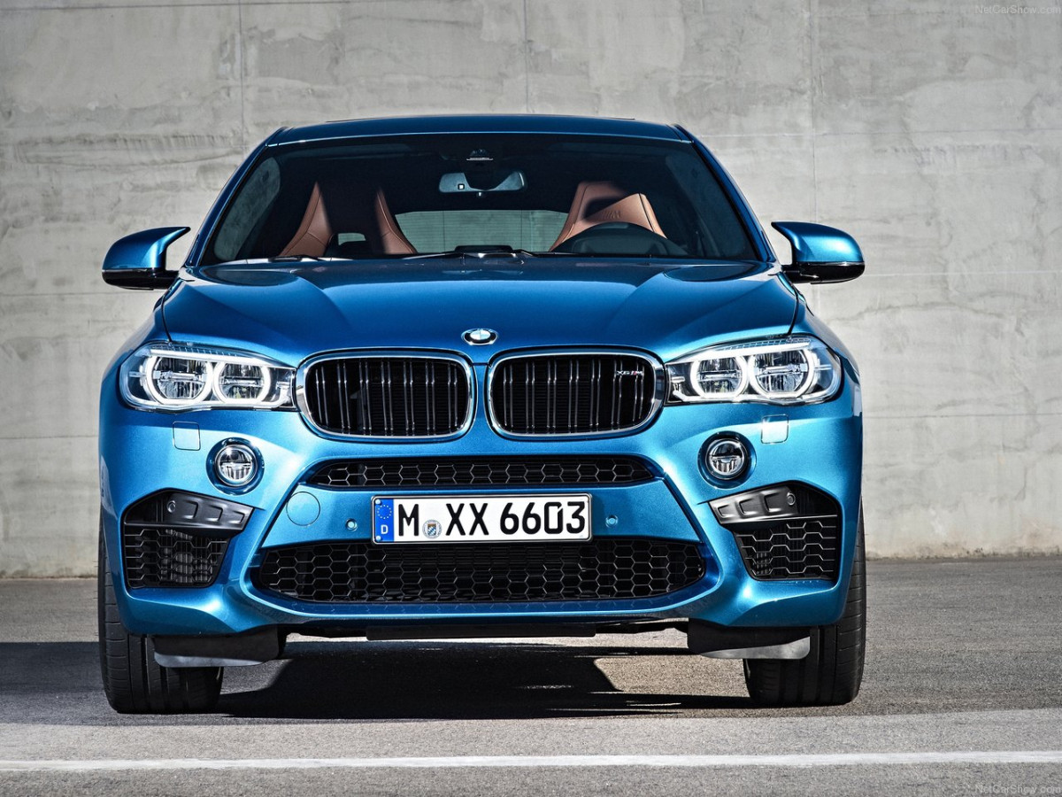 BMW X6 M фото 145779