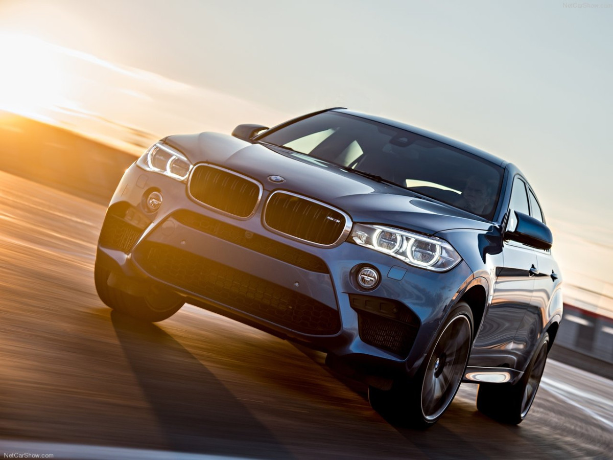 BMW X6 M фото 145877