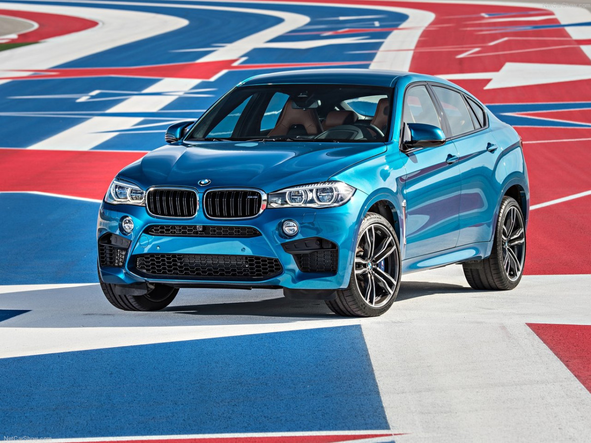 BMW X6 M фото 145879