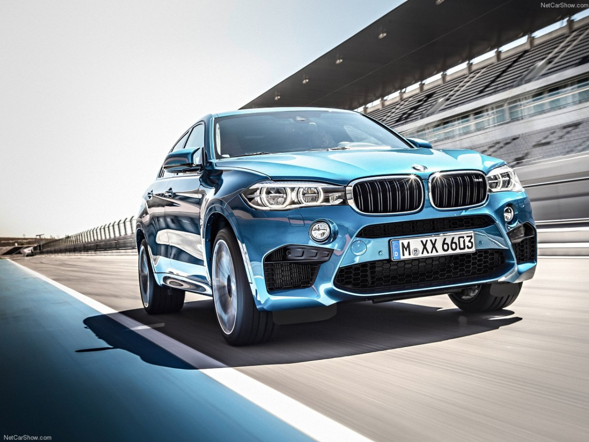 BMW X6 M фото 145880