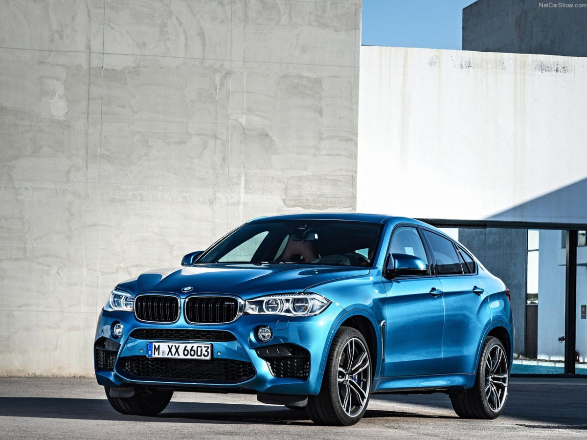 BMW X6 M фото 145881