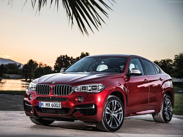 BMW X6 фото