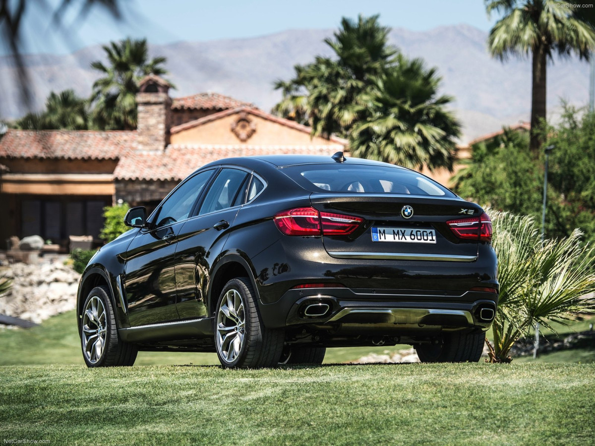 BMW X6 фото 125237