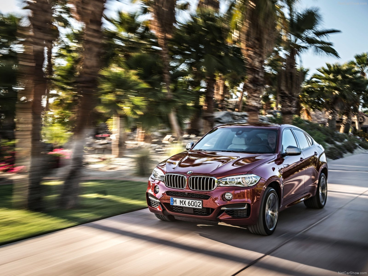 BMW X6 фото 125251