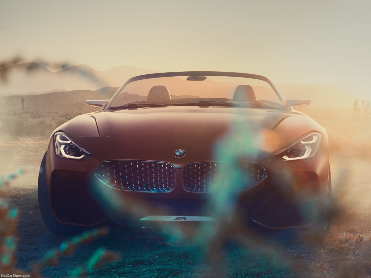 BMW Z4 фото 186871