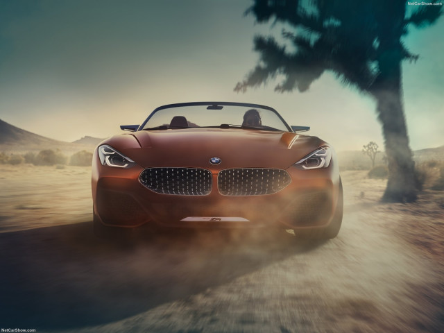 BMW Z4 фото