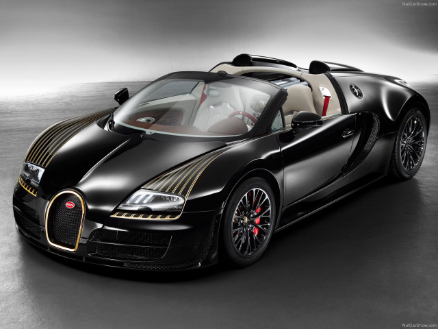 Bugatti Veyron Black Bess фото