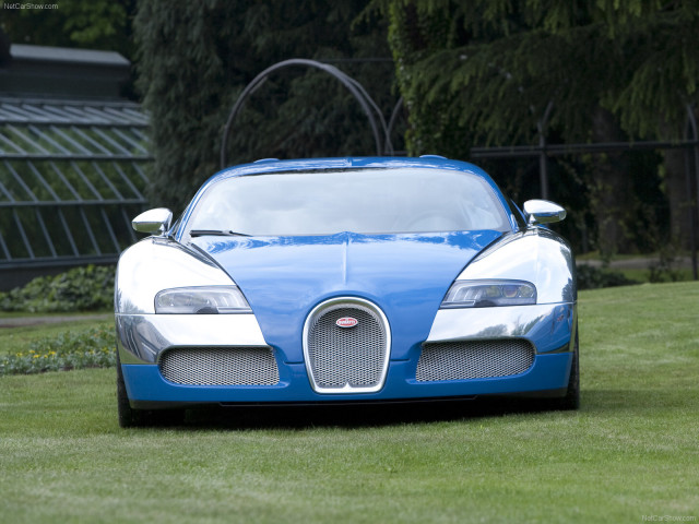 Bugatti Veyron Centenaire фото