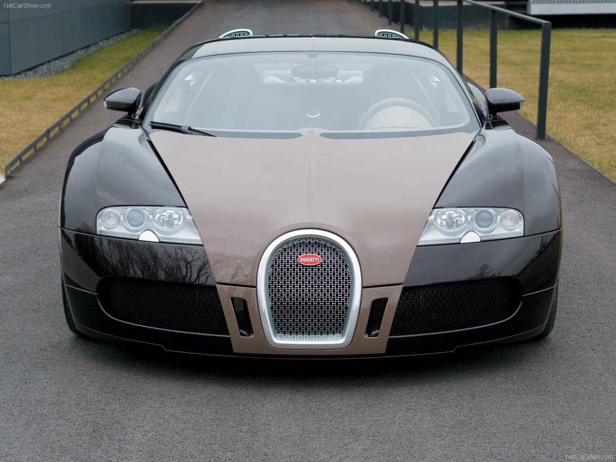 Bugatti Veyron Fbg par Hermes фото 53569