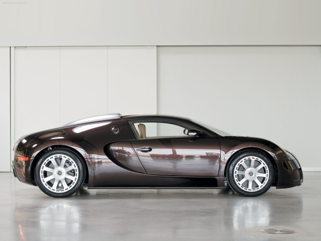 Bugatti Veyron Fbg par Hermes фото