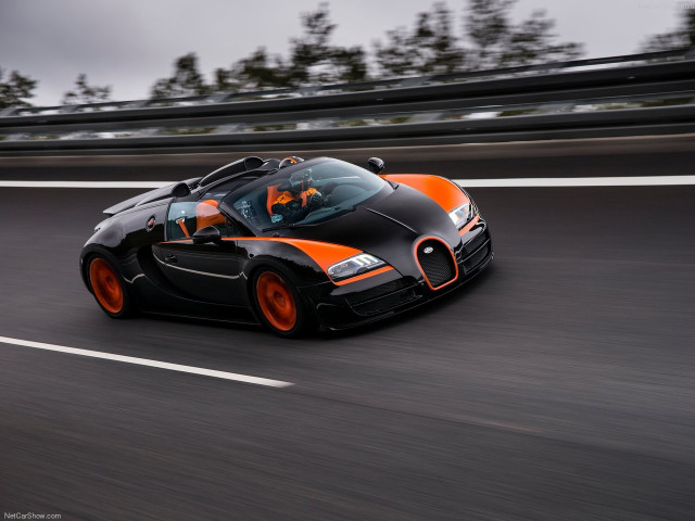 Bugatti Veyron Grand Sport Vitesse WRC фото