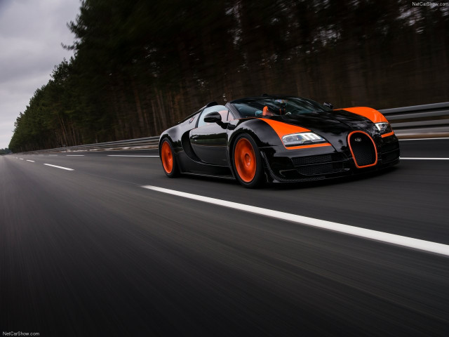 Bugatti Veyron Grand Sport Vitesse WRC фото