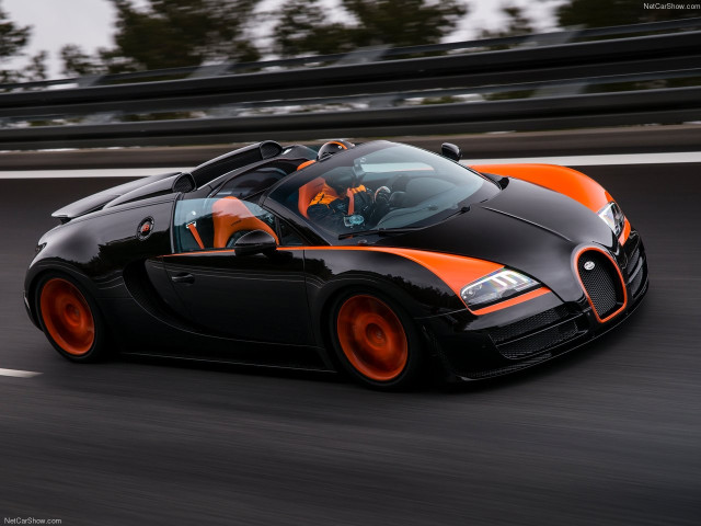 Bugatti Veyron Grand Sport Vitesse WRC фото