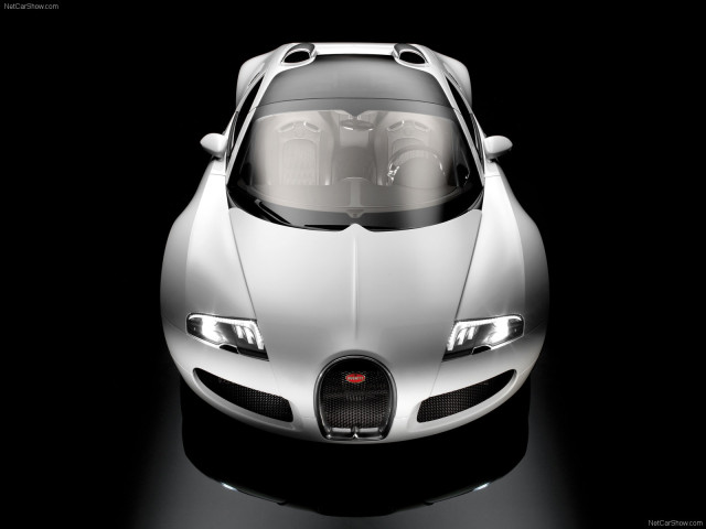 Bugatti Veyron Grand Sport фото