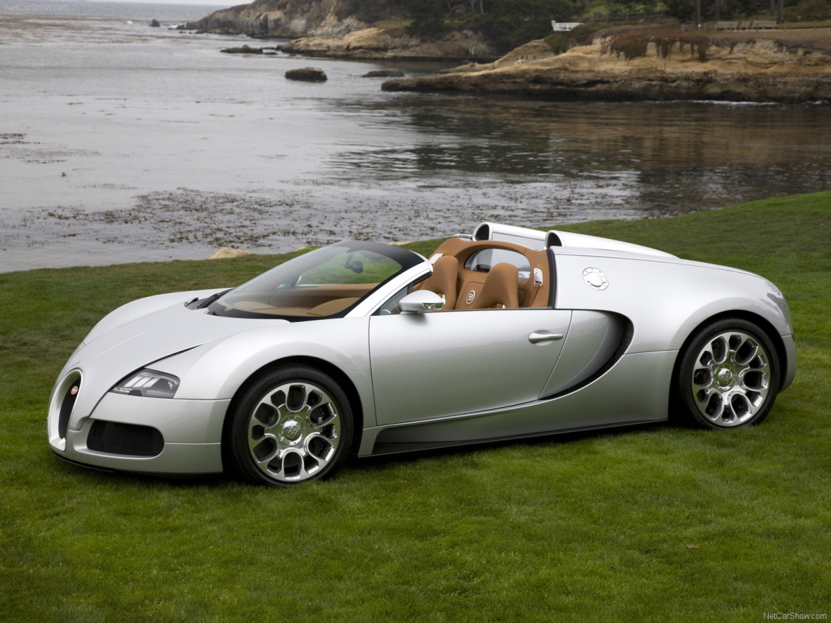 Bugatti Veyron Grand Sport фото 63690