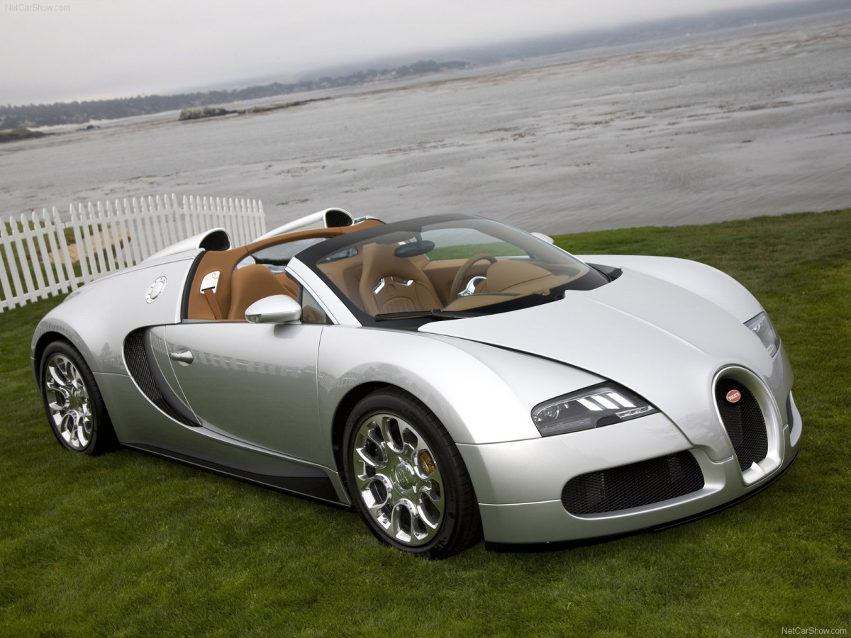 Bugatti Veyron Grand Sport фото 63691