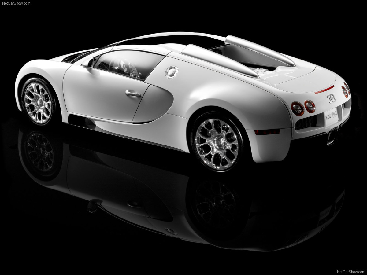 Bugatti Veyron Grand Sport фото 63693