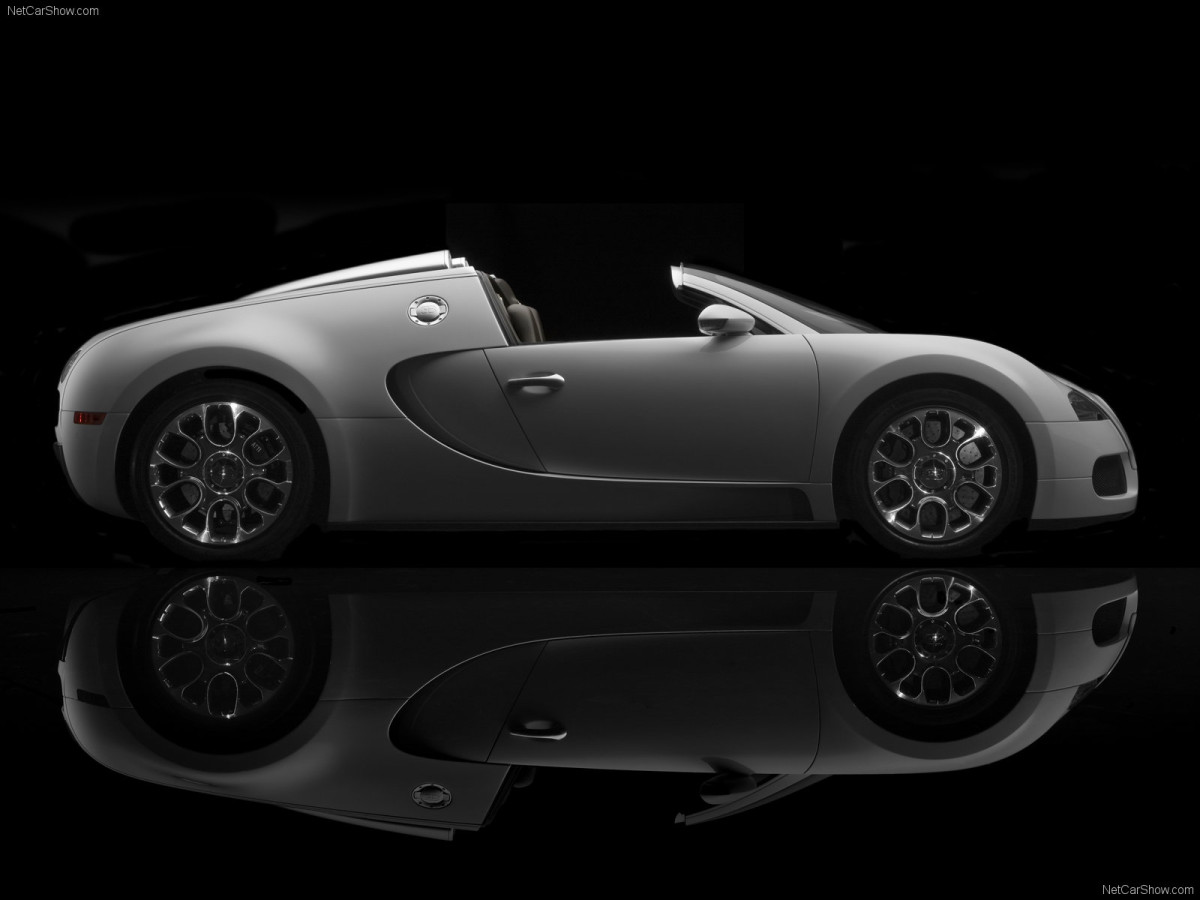 Bugatti Veyron Grand Sport фото 63699