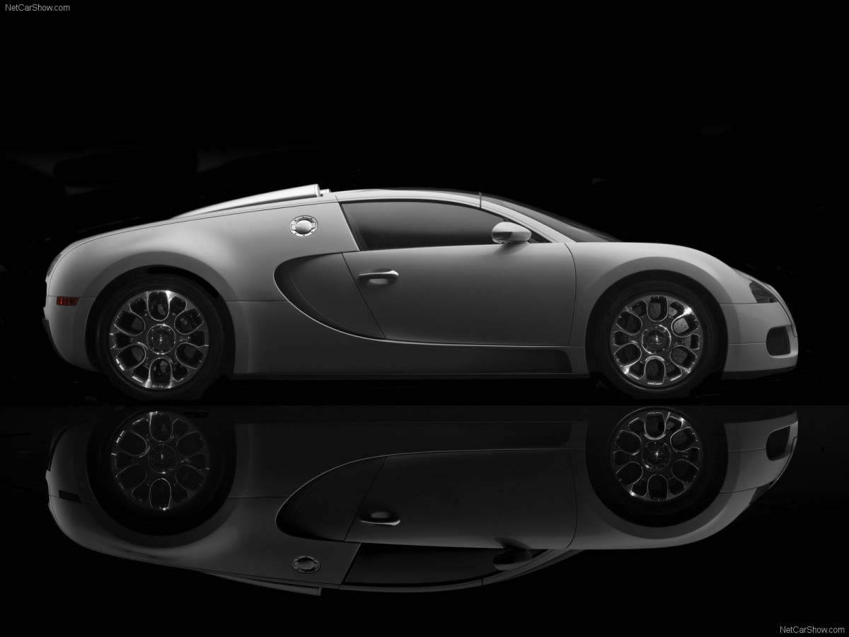 Bugatti Veyron Grand Sport фото 63700