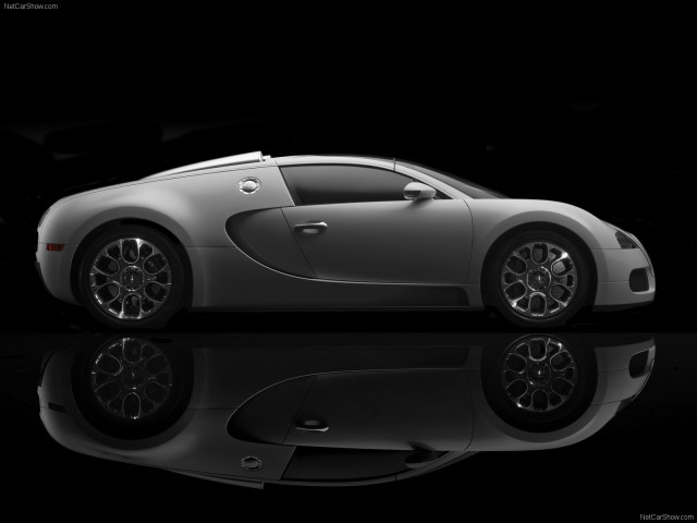 Bugatti Veyron Grand Sport фото