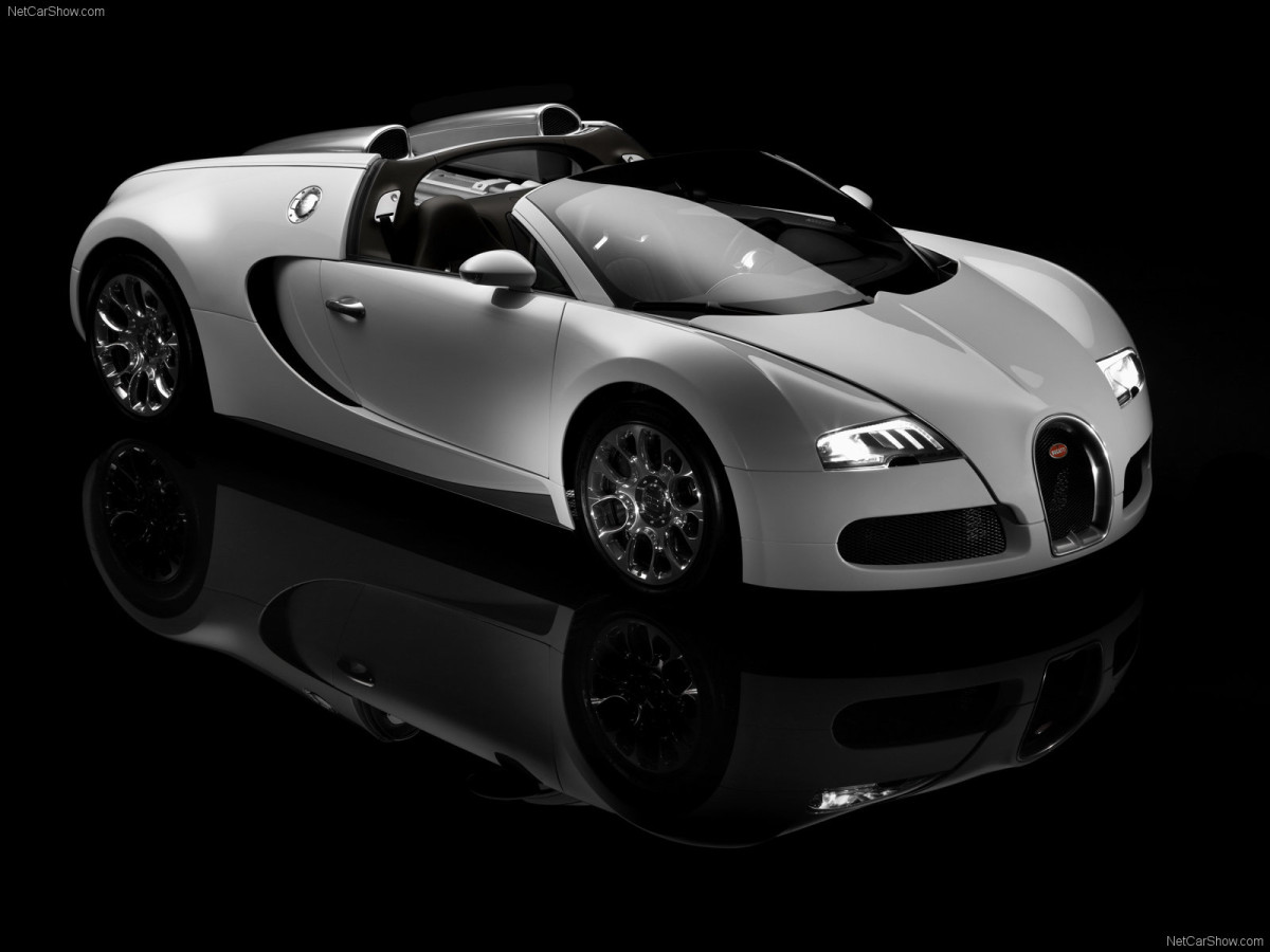 Bugatti Veyron Grand Sport фото 63701