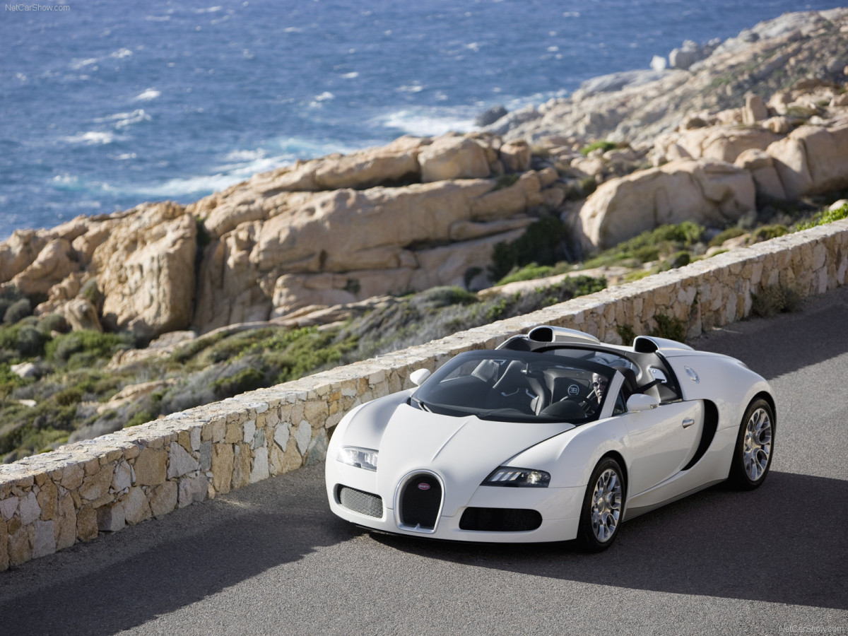 Bugatti Veyron Grand Sport фото 63708