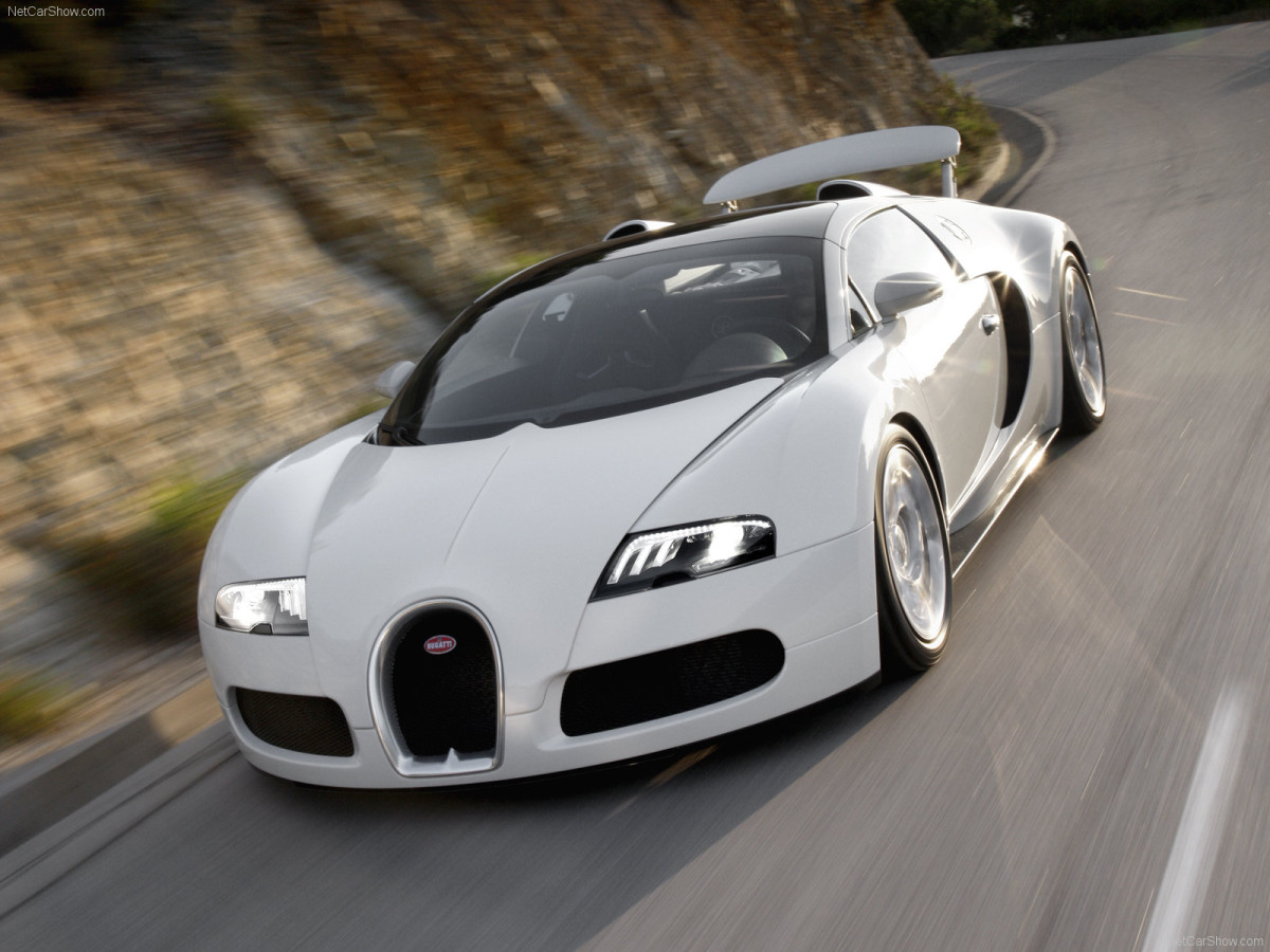 Bugatti Veyron Grand Sport фото 63709