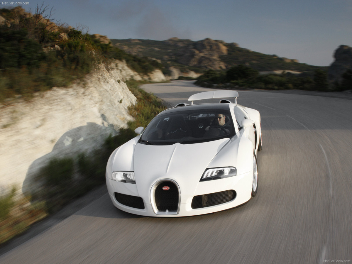 Bugatti Veyron Grand Sport фото 63710