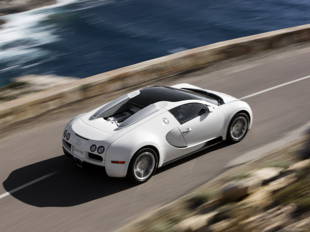 Bugatti Veyron Grand Sport фото 63717