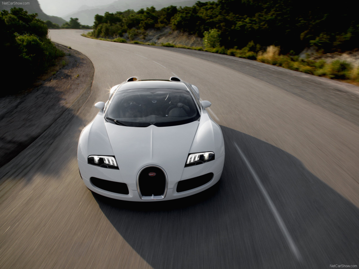 Bugatti Veyron Grand Sport фото 63718