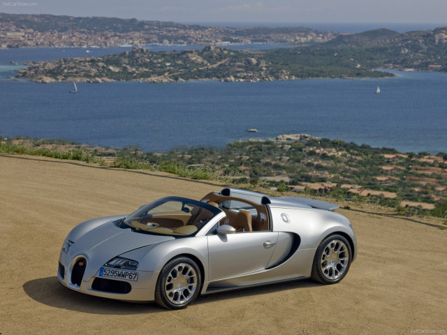 Bugatti Veyron Grand Sport фото