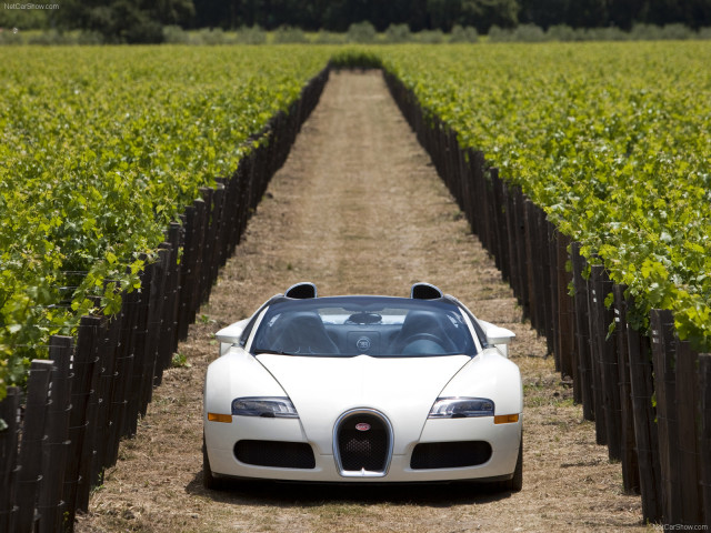 Bugatti Veyron Grand Sport фото